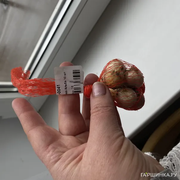 превью изображения отзыва