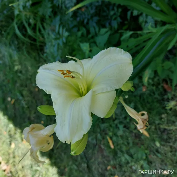 превью изображения отзыва