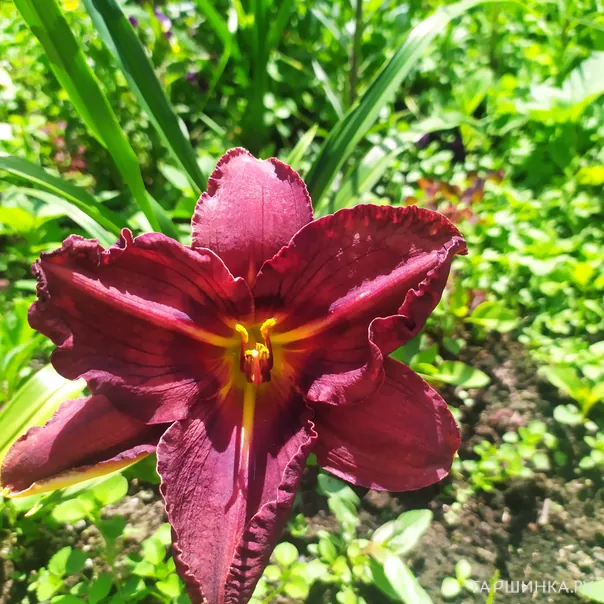 превью изображения отзыва