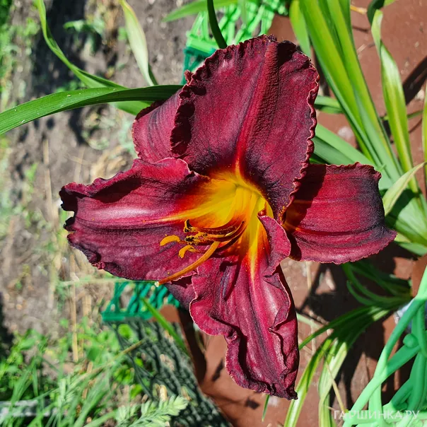 превью изображения отзыва