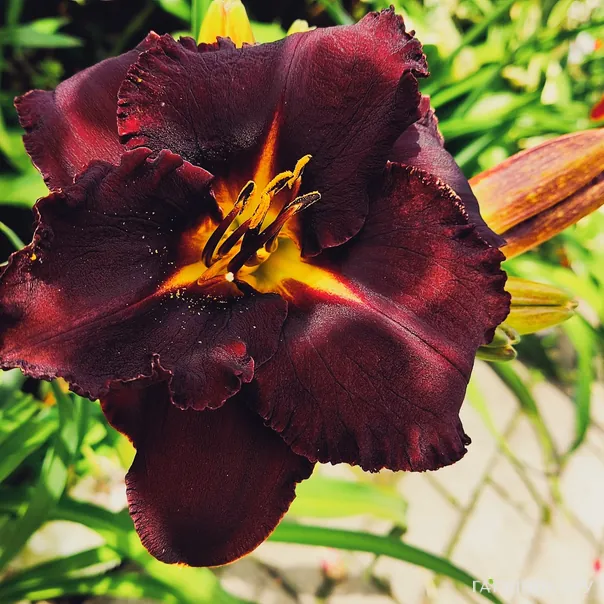 превью изображения отзыва