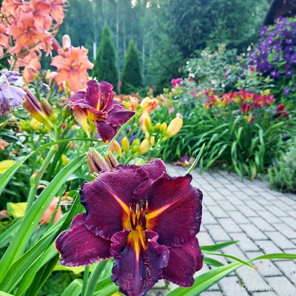 превью изображения отзыва