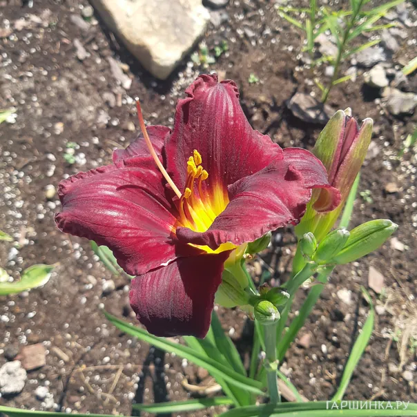 превью изображения отзыва