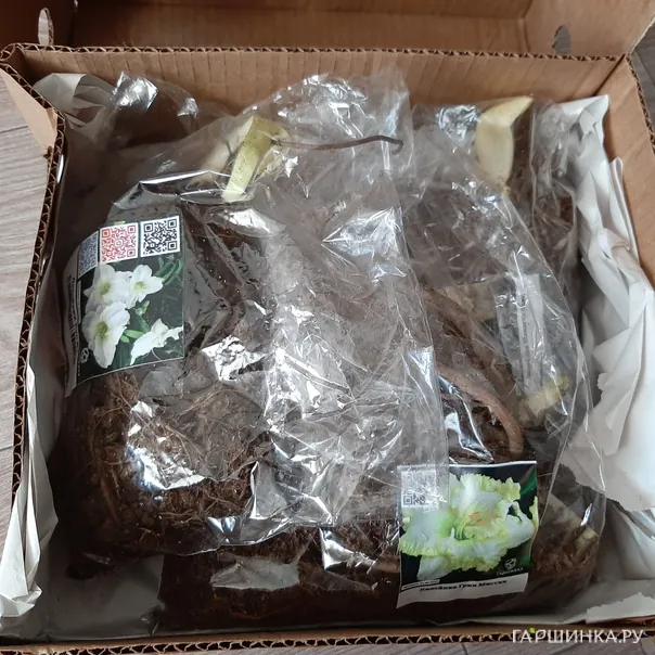 превью изображения отзыва