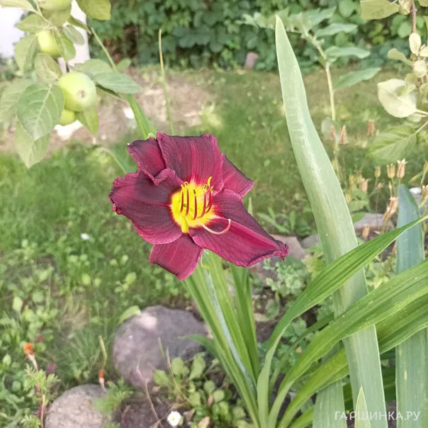 превью изображения отзыва