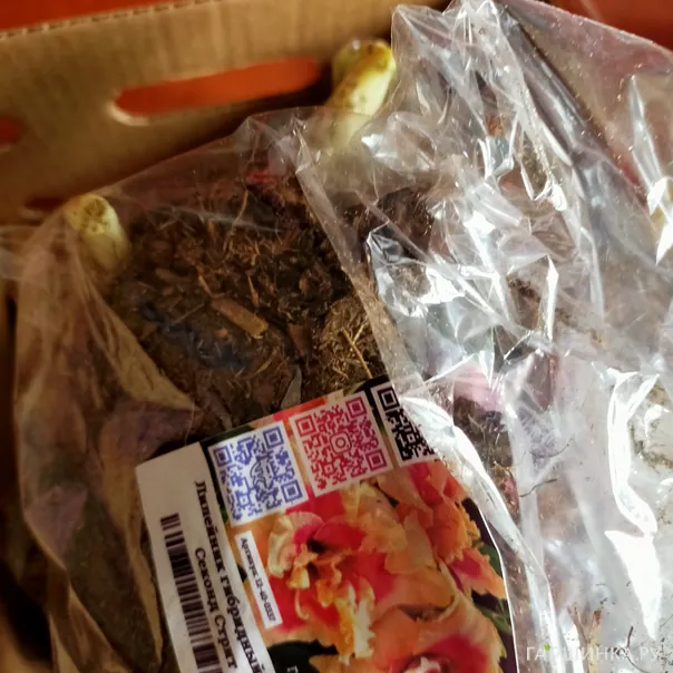 превью изображения отзыва