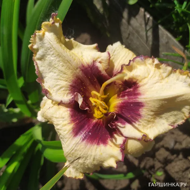 превью изображения отзыва