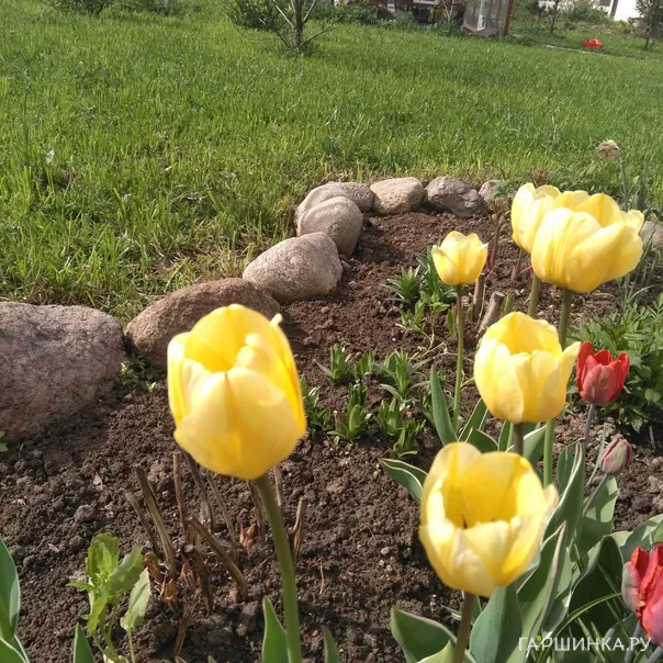 превью изображения отзыва