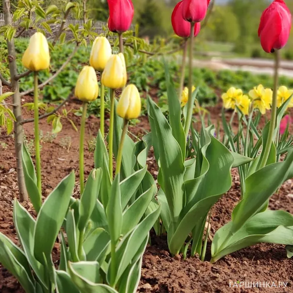 превью изображения отзыва