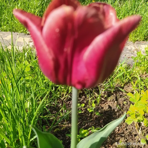 превью изображения отзыва