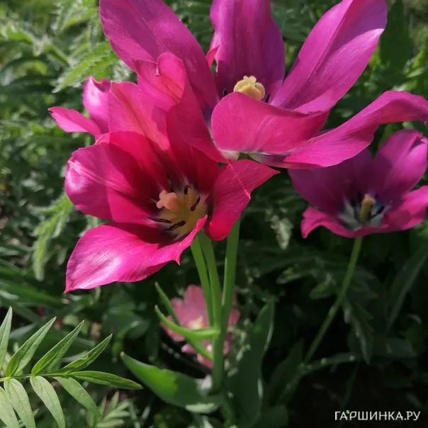 превью изображения отзыва