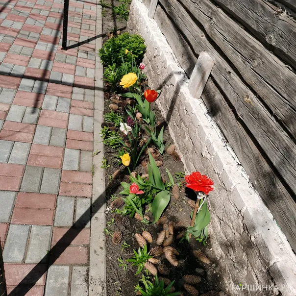 превью изображения отзыва