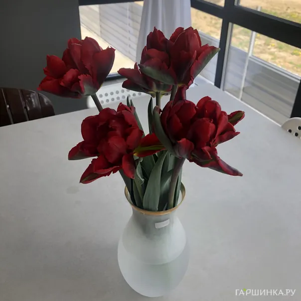 превью изображения отзыва