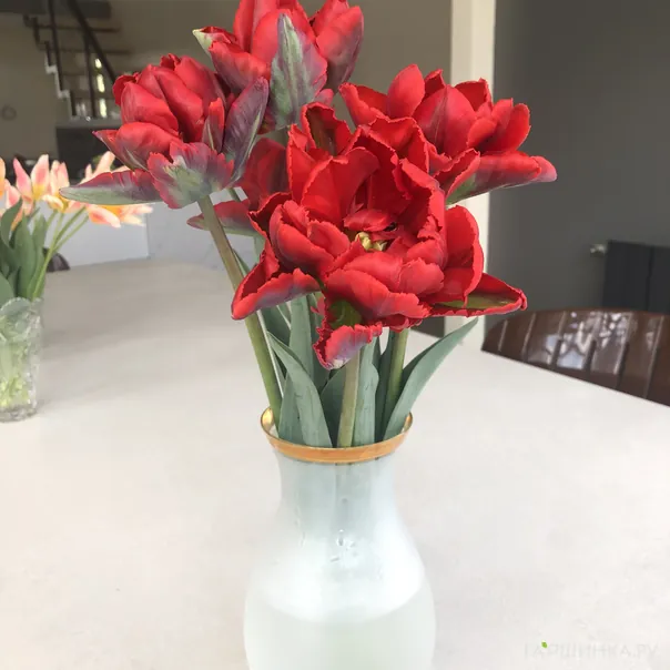 превью изображения отзыва