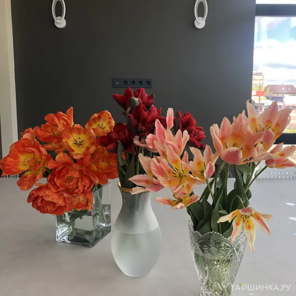 превью изображения отзыва