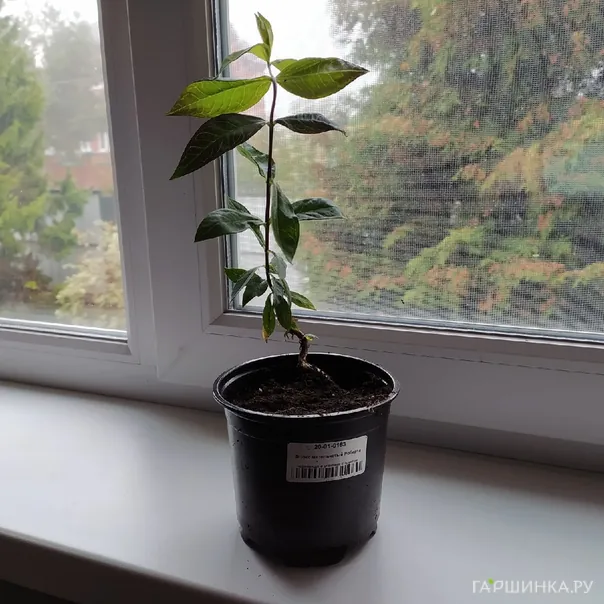 превью изображения отзыва