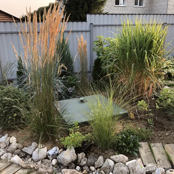 превью изображения отзыва