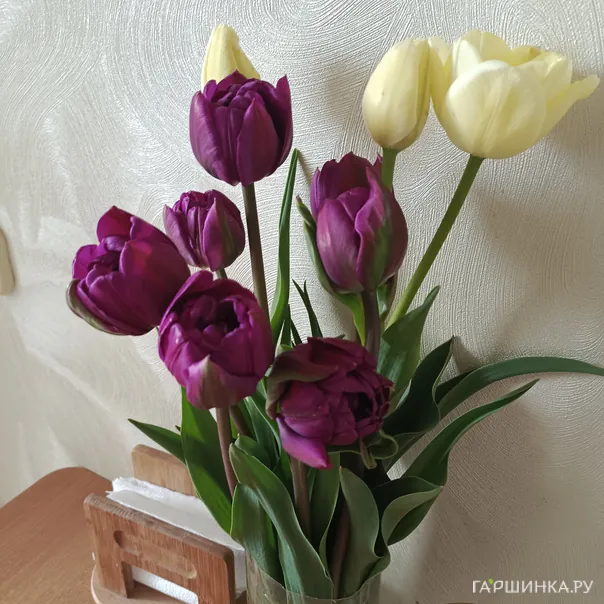 превью изображения отзыва