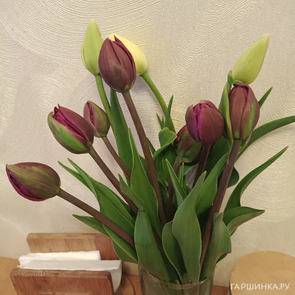 превью изображения отзыва