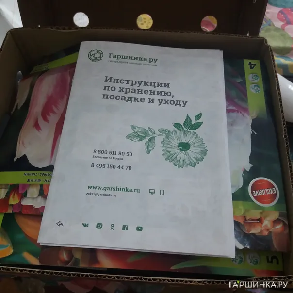 превью изображения отзыва