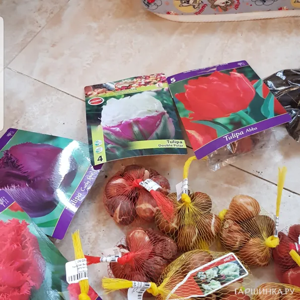 превью изображения отзыва