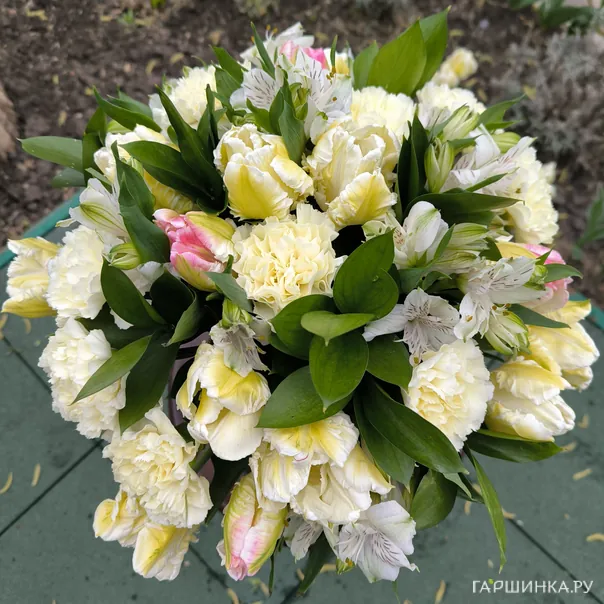 превью изображения отзыва