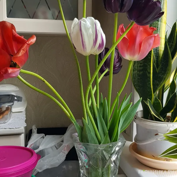 превью изображения отзыва