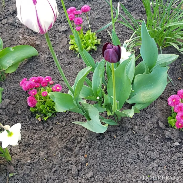 превью изображения отзыва