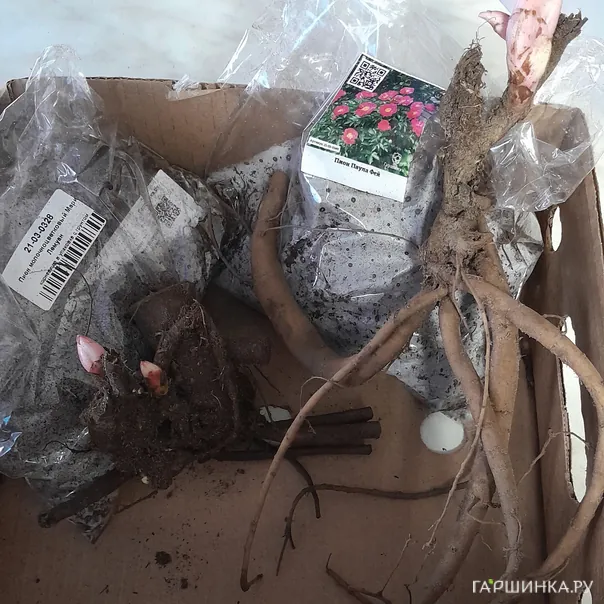 превью изображения отзыва