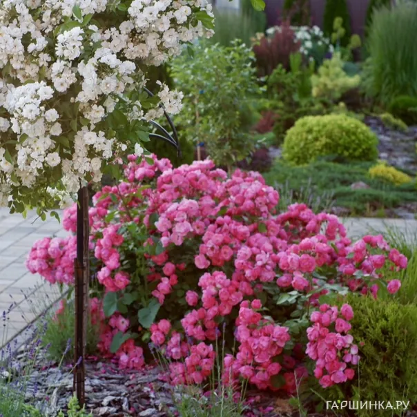 превью изображения отзыва