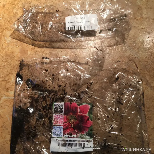 превью изображения отзыва