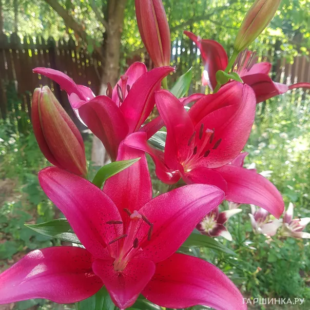 превью изображения отзыва