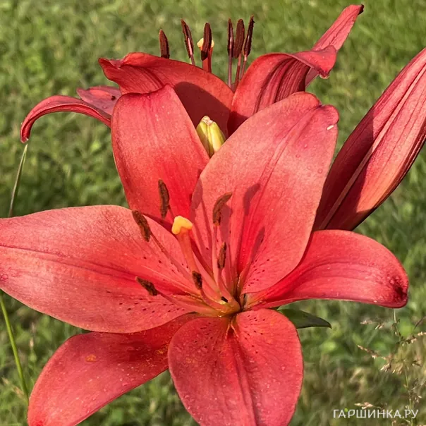 превью изображения отзыва