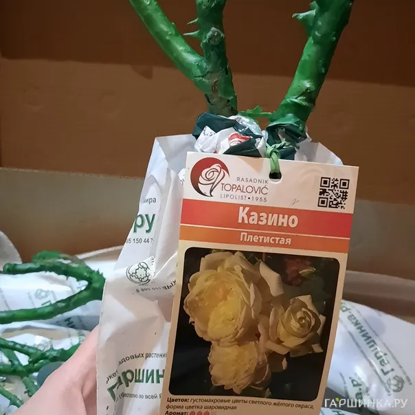 превью изображения отзыва