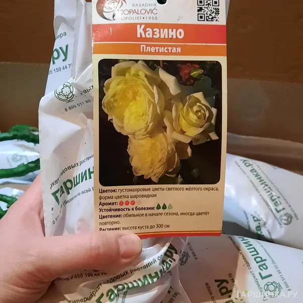 превью изображения отзыва