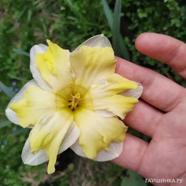 превью изображения отзыва