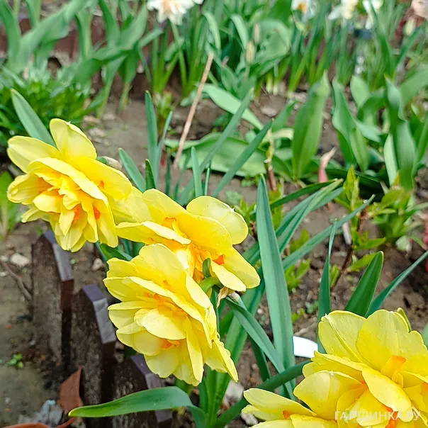 превью изображения отзыва