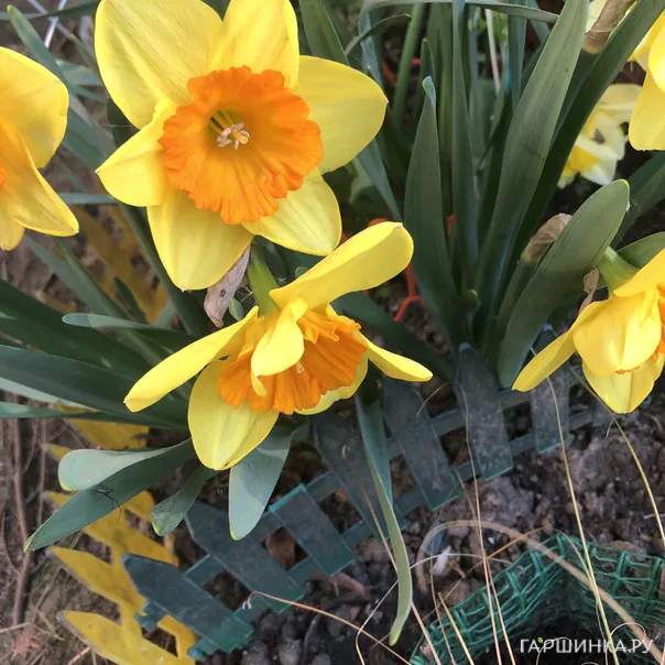 превью изображения отзыва