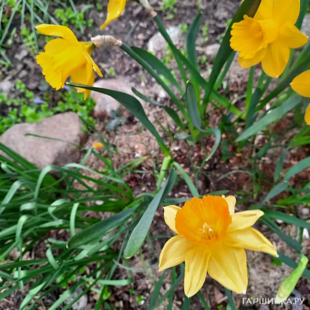 превью изображения отзыва