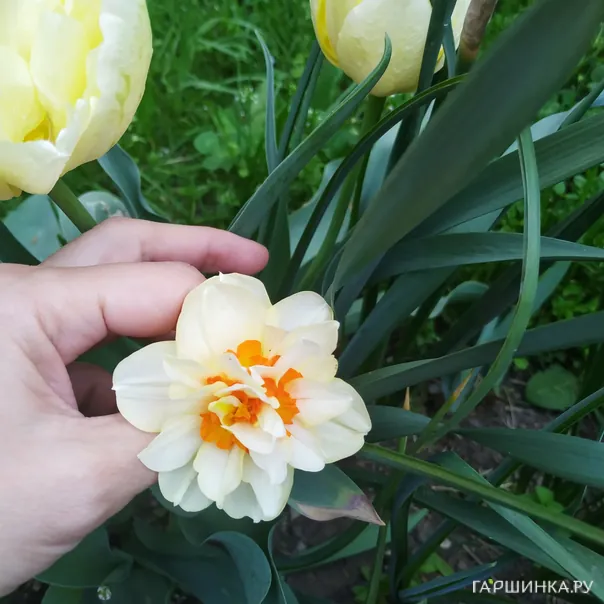 превью изображения отзыва