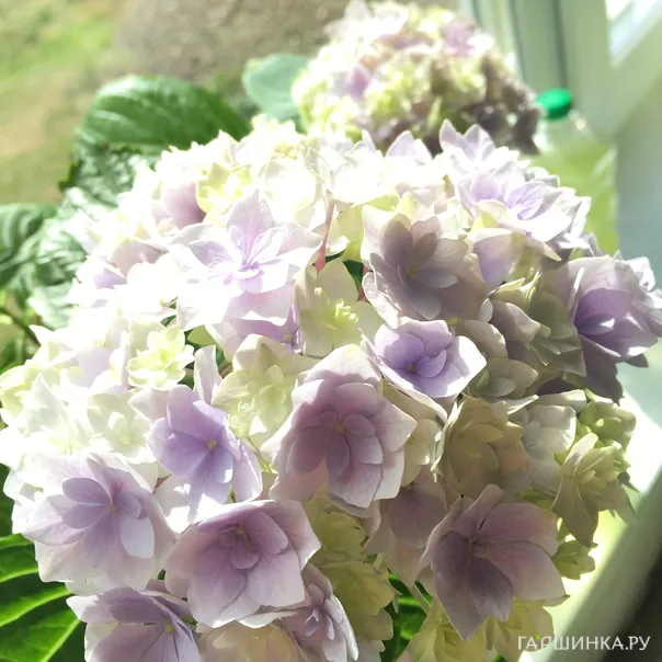 превью изображения отзыва