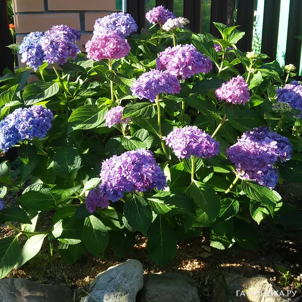 превью изображения отзыва