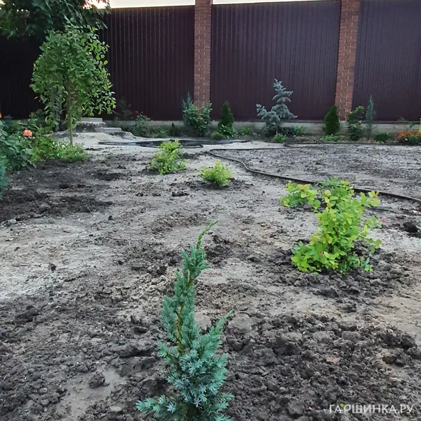 превью изображения отзыва