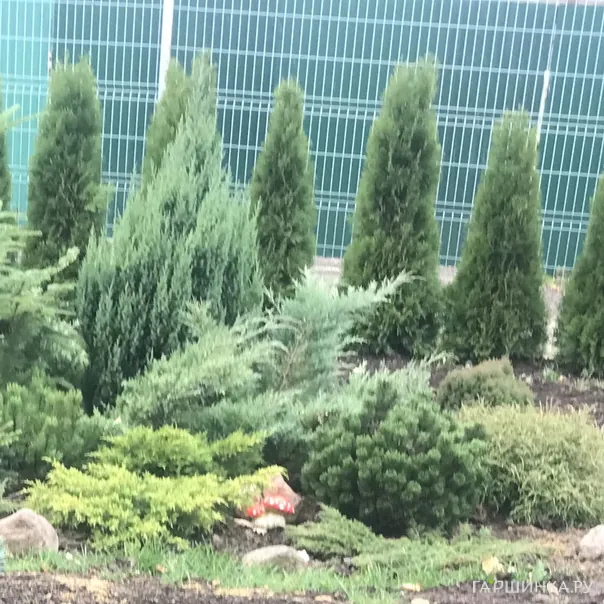 превью изображения отзыва