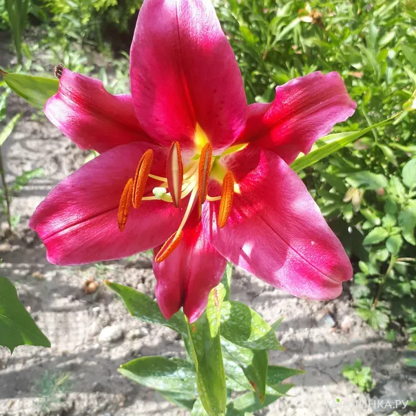 превью изображения отзыва