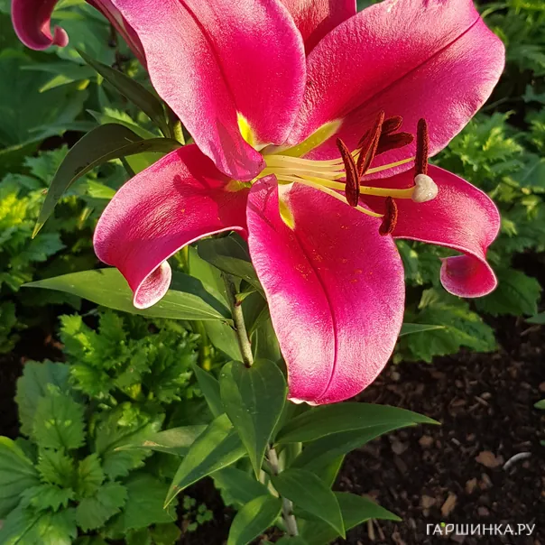 превью изображения отзыва