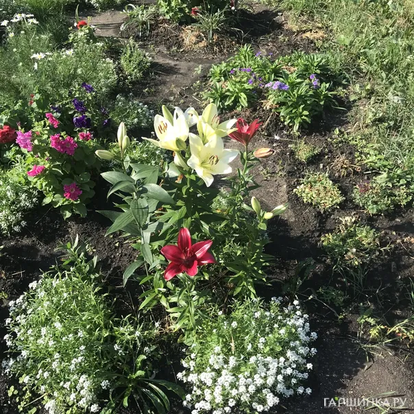 превью изображения отзыва