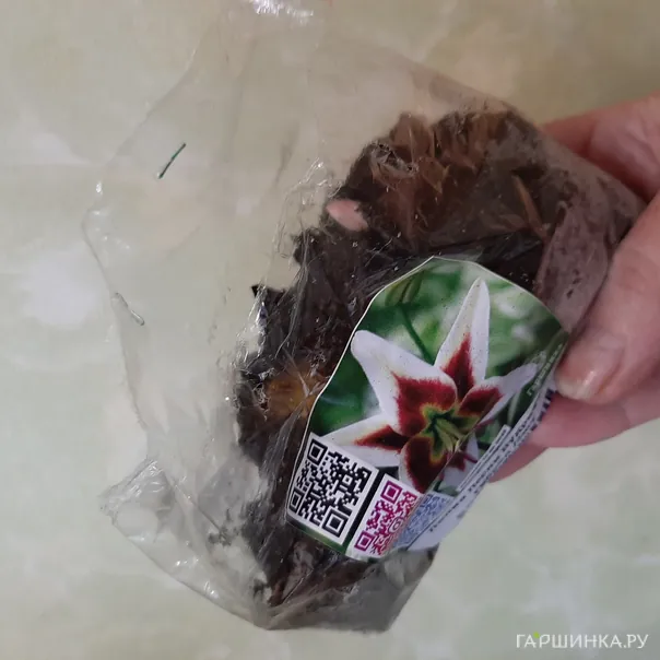 превью изображения отзыва