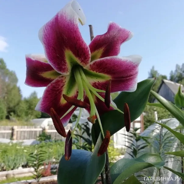 превью изображения отзыва