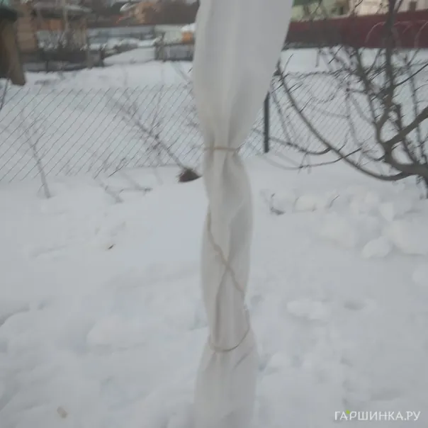 превью изображения отзыва